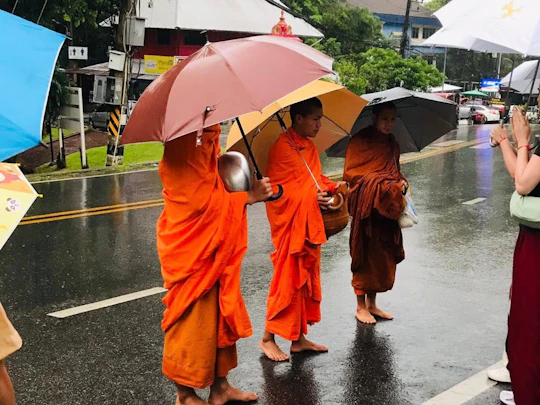 Embrace the Buddhist lifestyle at dawn tour