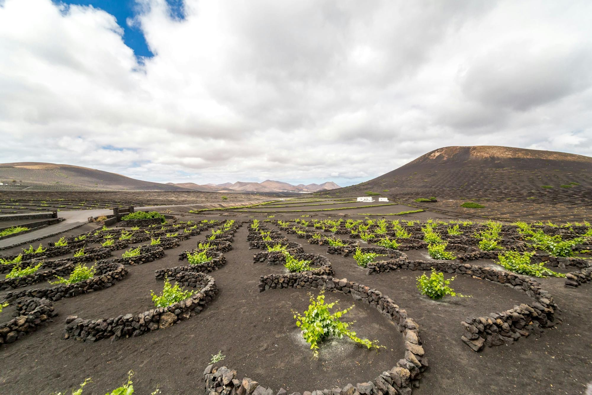 Lanzarote trike tour for up to three people – no transfers