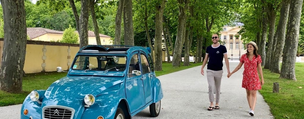 Private tour of Médoc vineyards with professional wine taster