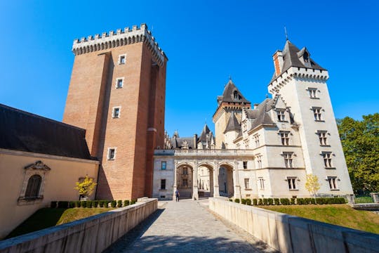Visite guidée d'introduction de 2 heures à Pau avec un local