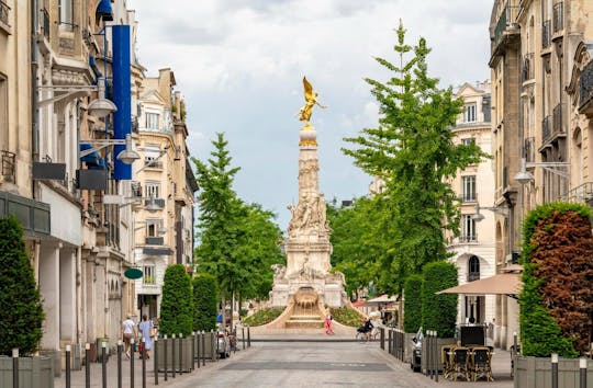 Reims city highlights walking tour with a local guide