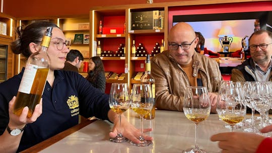 Private full-day tour to Graves and Sauternes in a 2CV from Bordeaux