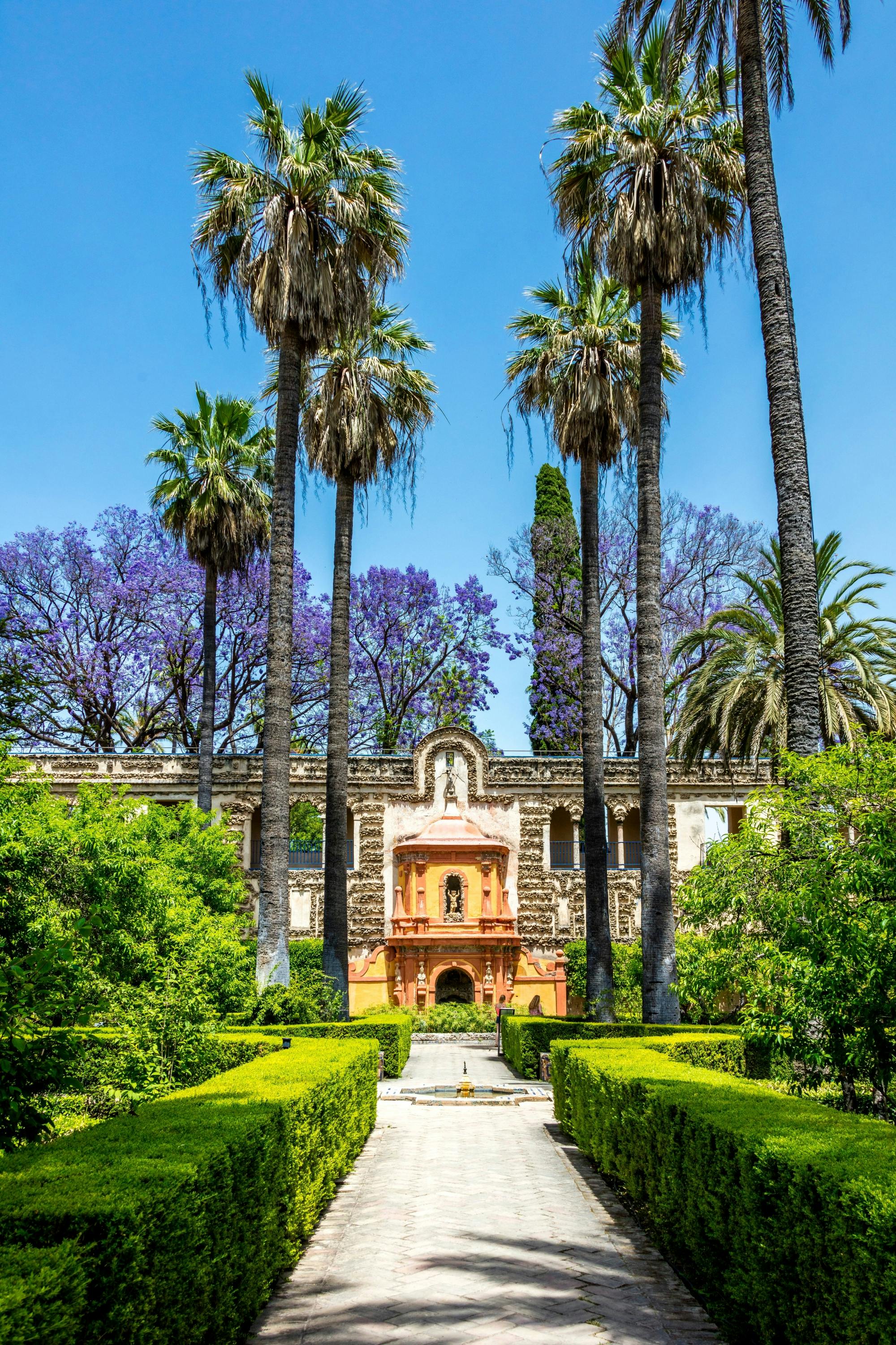 Seville tour with panoramic bus ride and Cathedral visit