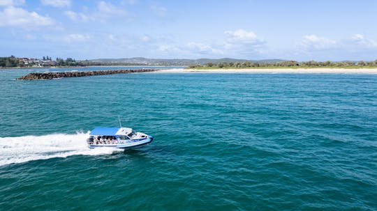 Ocean explorer tour