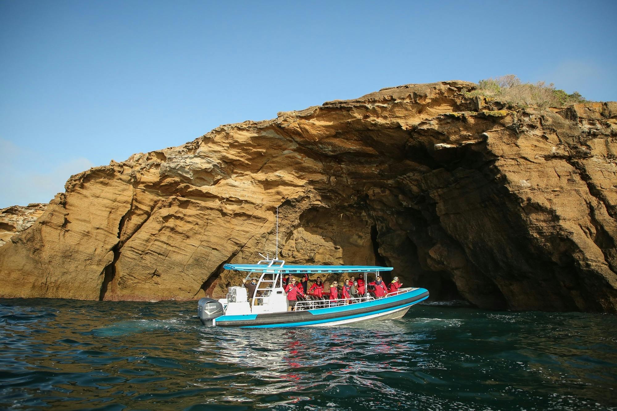 Excursión en barco de aventura costera Hunter