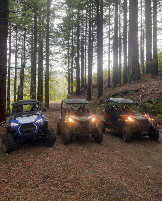Private buggy off-road driving experience in Madeira