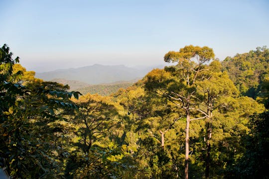 Pacchetto Silver Pongyang Jungle Coaster e Zipline