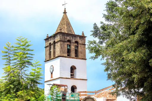 Northwest Tenerife full-day tour with Canarian lunch