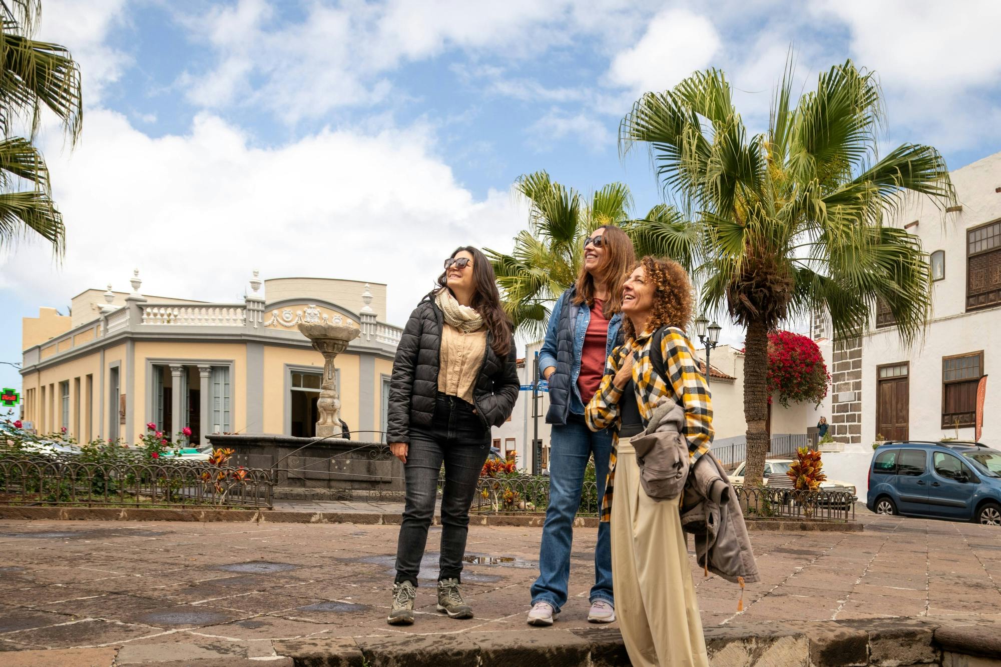 Northwest Tenerife full-day tour with Canarian lunch