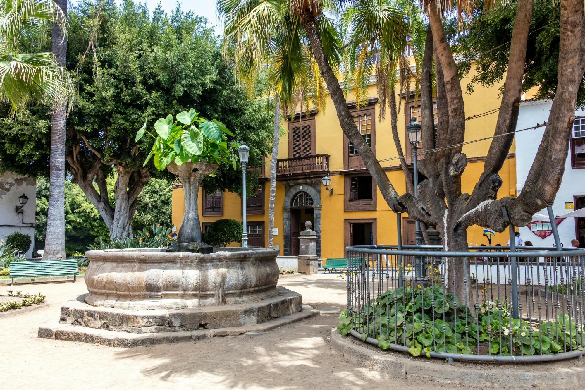 Northwest Tenerife full-day tour with Canarian lunch