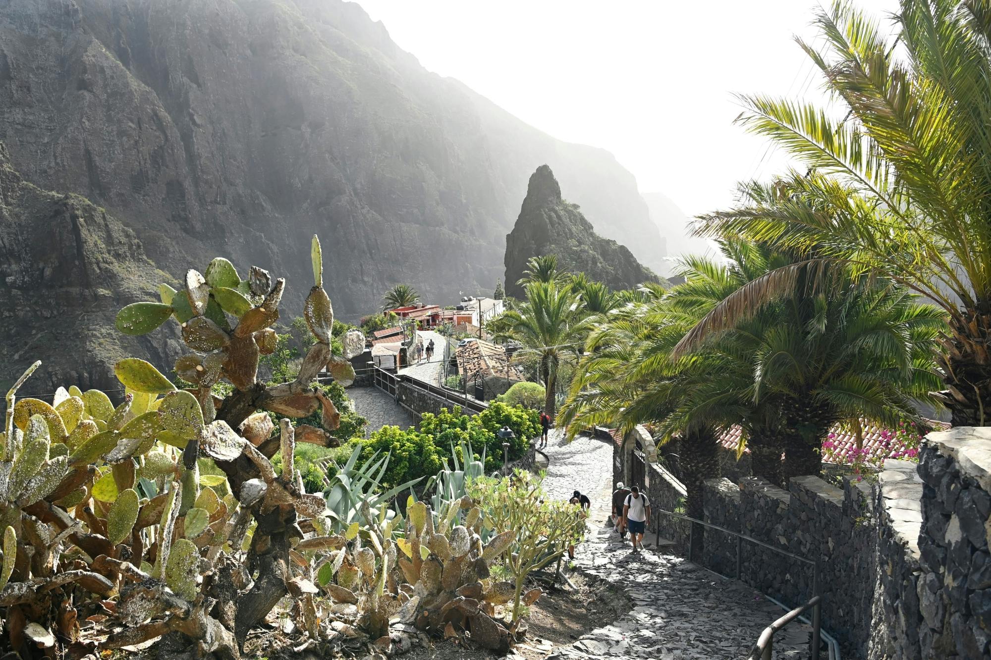 Northwest Tenerife full-day tour with Canarian lunch