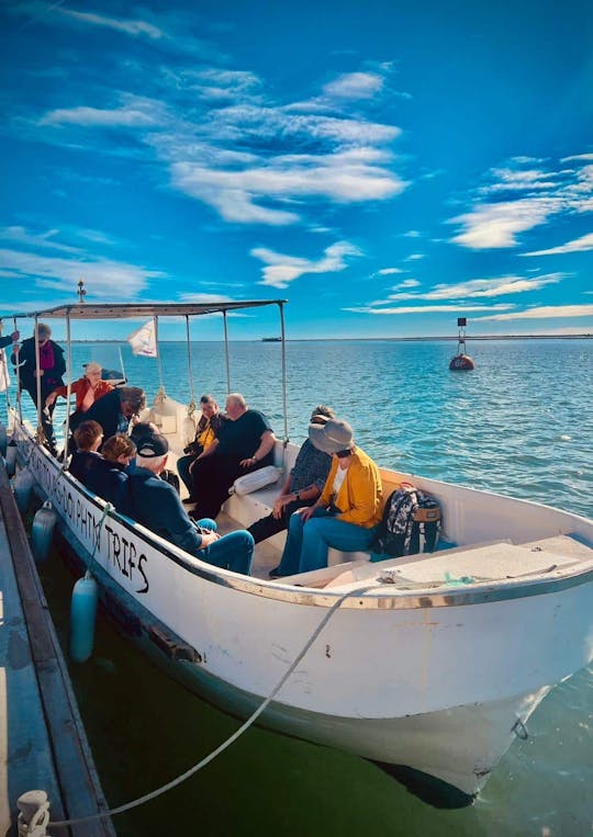 Tour dell'Algarve in 4x4 a Tavira con giro in barca a Ria Formosa