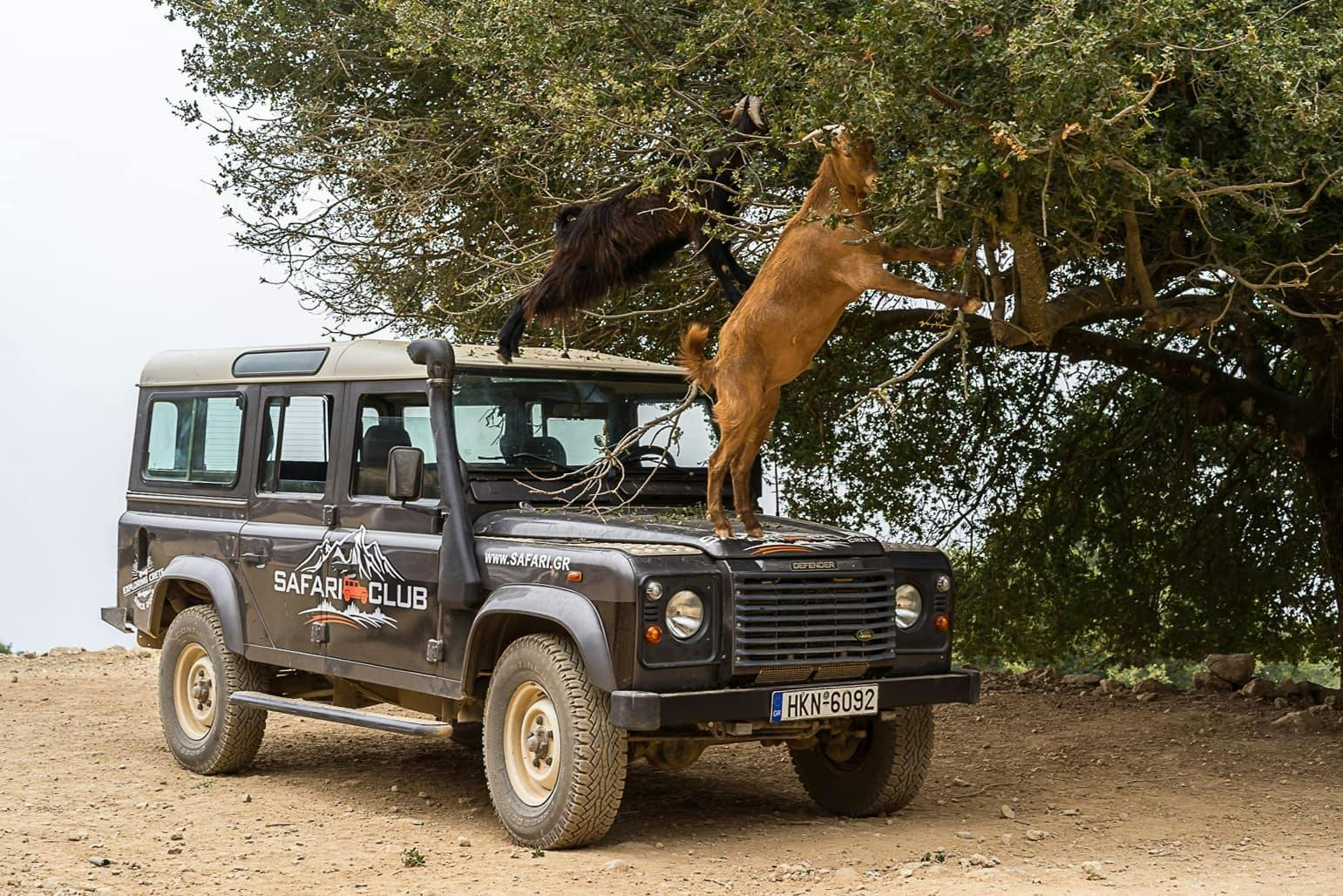 4x4 off road-tour of Crete’s mountains with taverna lunch