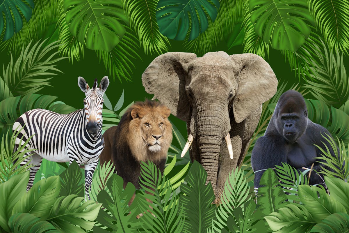 Toegangskaartje voor de dierentuin van Warschau