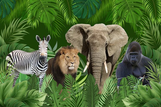 Eintrittskarte für den Warschauer Zoo