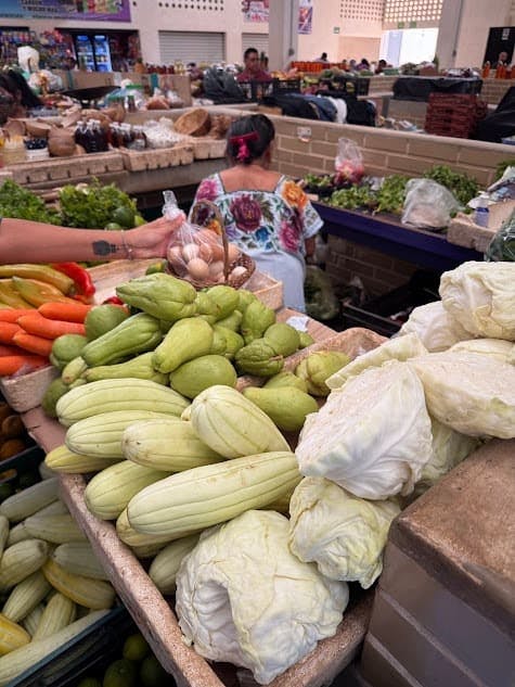 Guided tour of Valladolid with Chukum cenote swim