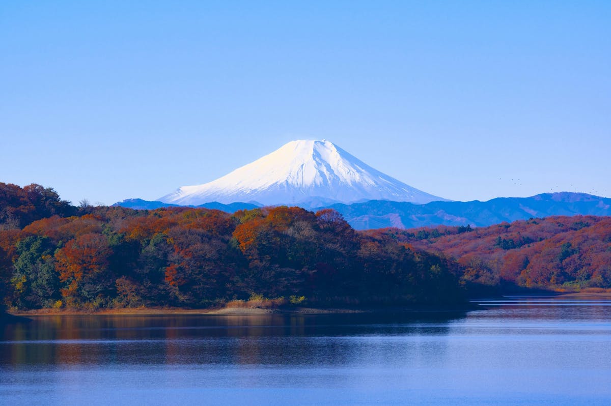 Tour del Monte Fuji di un'intera giornata da Tokyo con autista e guida privati