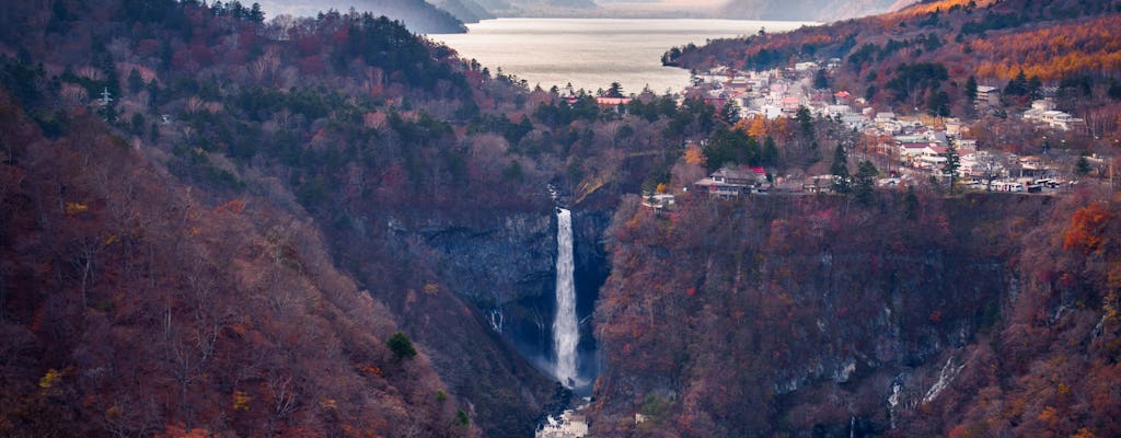 Nikko full-day tour from Tokyo with private driver and local guide