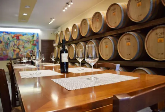 Wycieczka po winnicy Negroamaro i degustacja wina w Guagnano