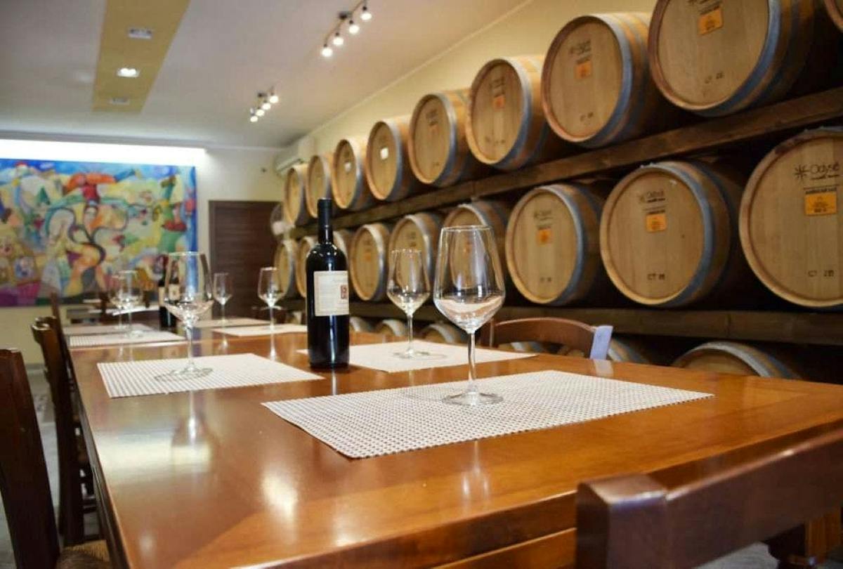 Tour dei vigneti di Negroamaro e degustazione di vini a Guagnano