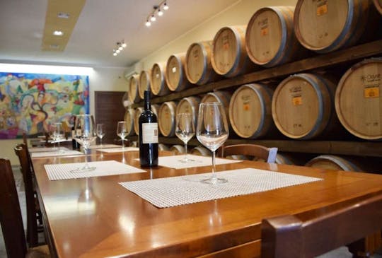 Visita guidata ai vigneti del Negroamaro e degustazione di vini a Guagnano