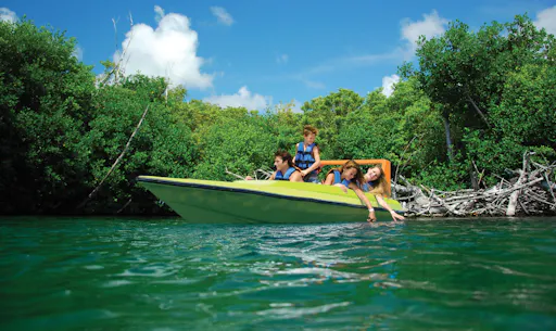 Speedboat jungle tour and snorkelling at Punta Nizuc