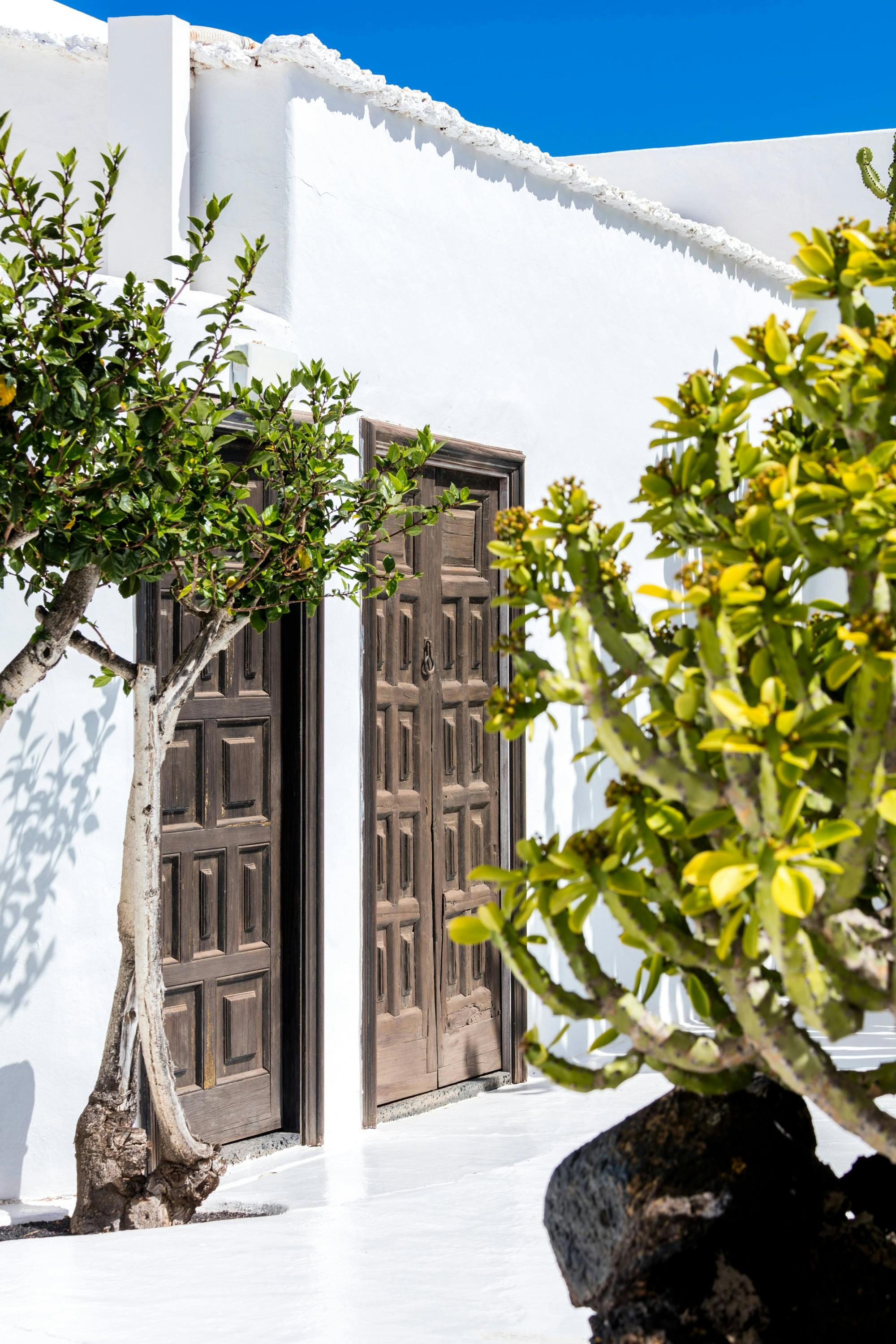 Full-day Northern Lanzarote art and sightseeing tour