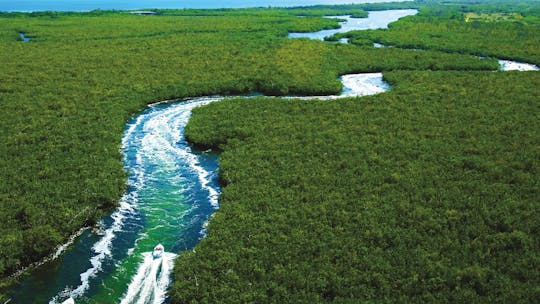 Speedboat jungle tour and snorkelling at Punta Nizuc