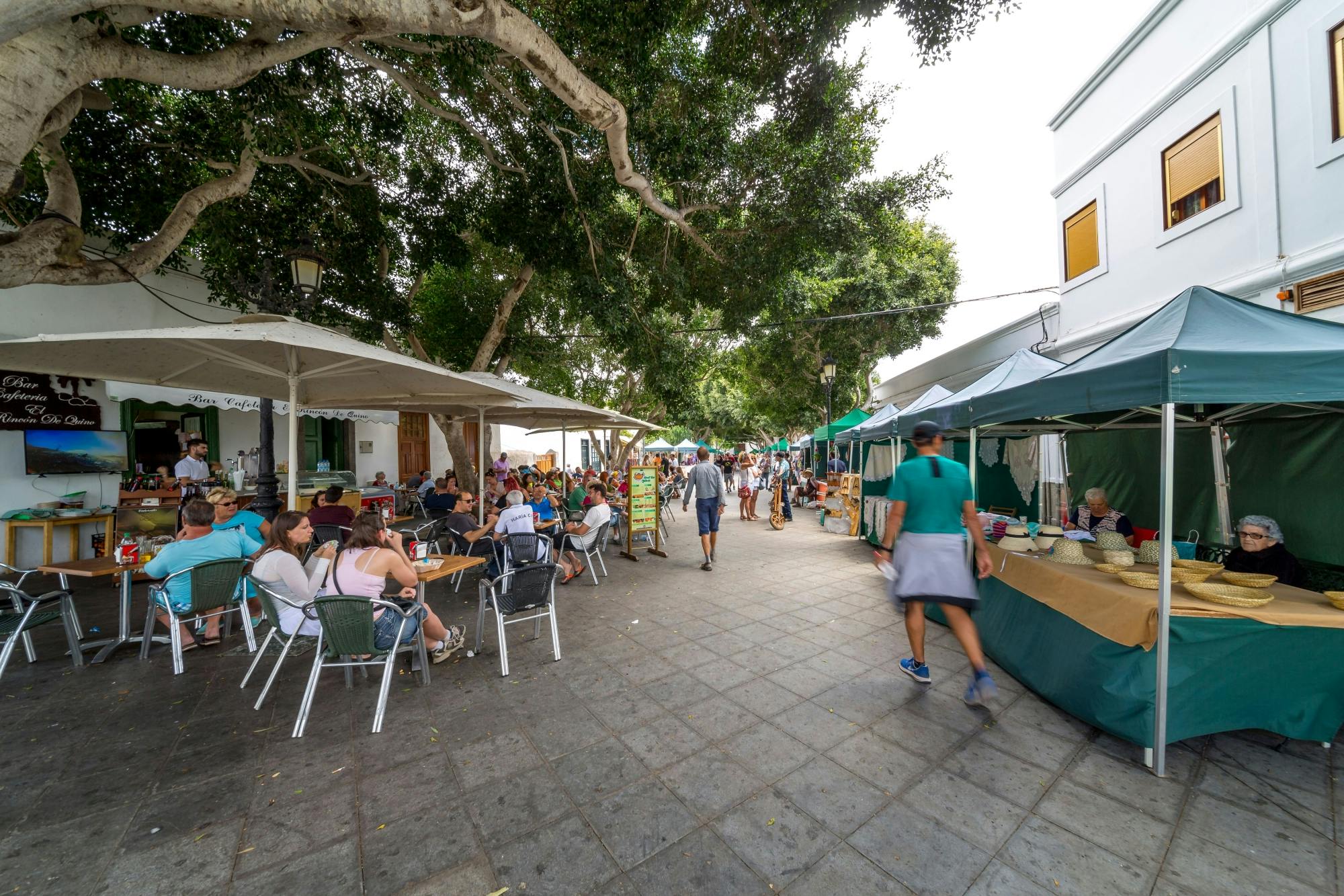 Full-day Northern Lanzarote art and sightseeing tour