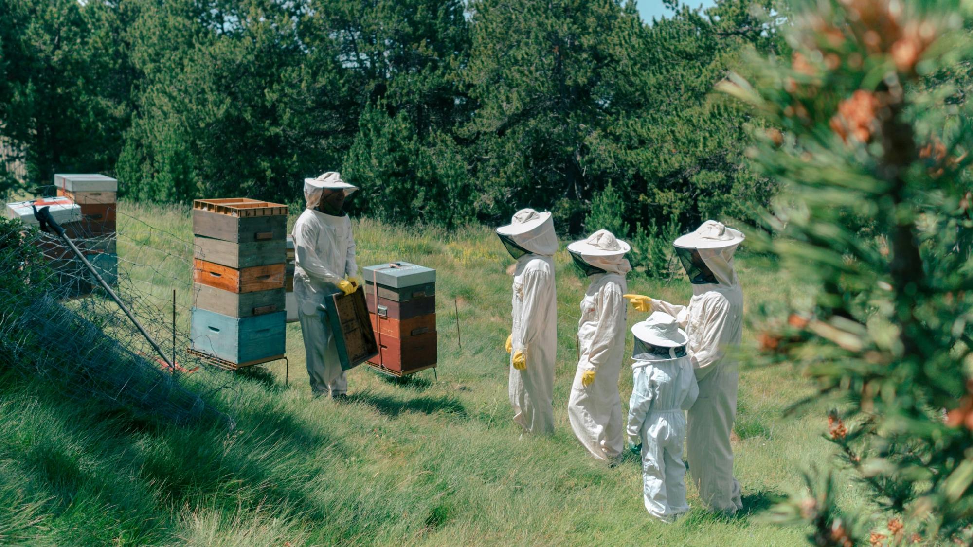 Guided beekeeping tour in Andorra