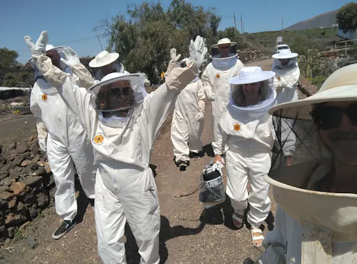 Beekeeping tour with honey tasting in Lanzarote