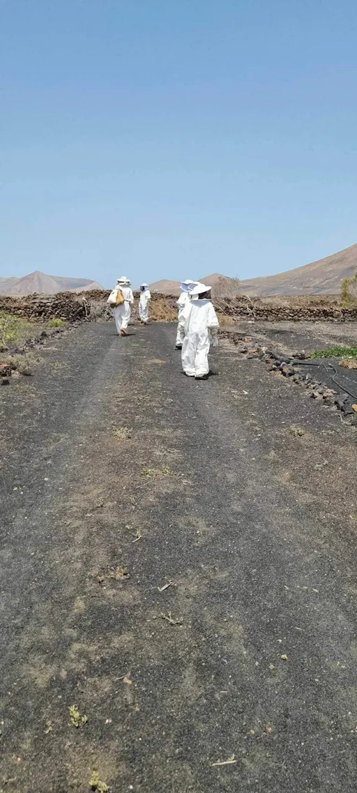 Beekeeping tour with honey tasting in Lanzarote