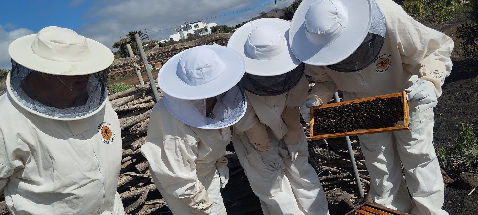Beekeeping tour with honey tasting in Lanzarote