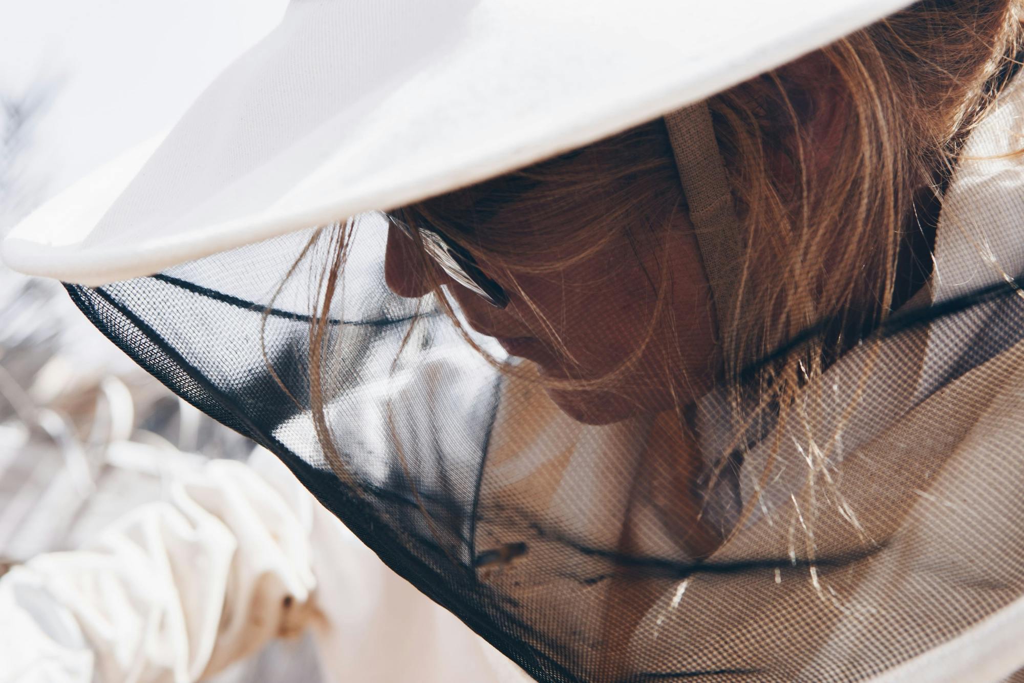 Beekeeping tour with honey tasting in Lanzarote