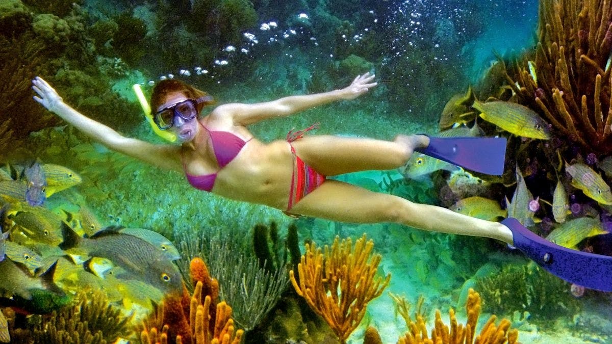 Snorkel guiado en el arrecife de Puerto Morelos con almuerzo desde Cancún