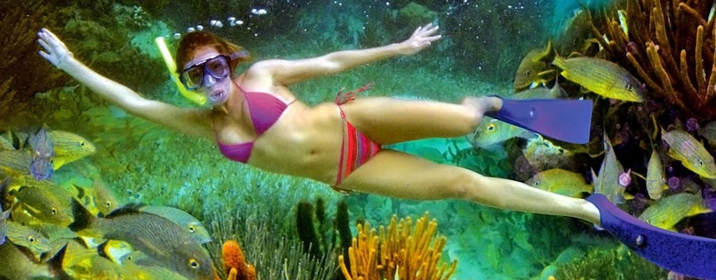 Snorkeling guidato nella barriera corallina di Puerto Morelos con pranzo da Cancun