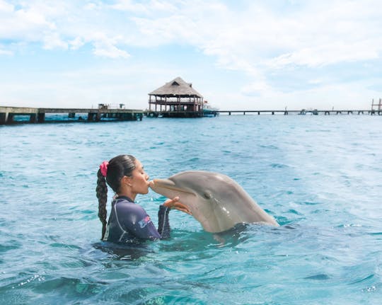 Swimming with dolphins and catamaran cruise at Puerto Aventuras