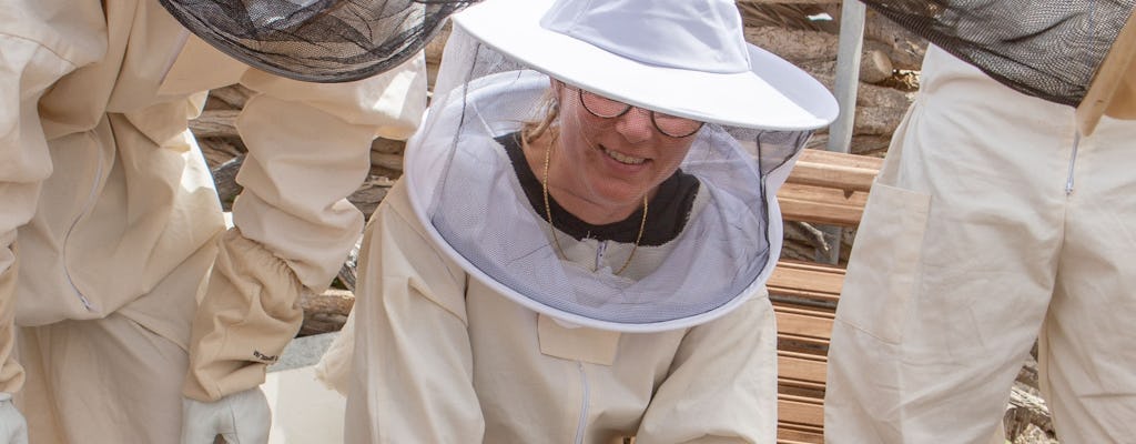 Visite apicole avec dégustation de miel à Lanzarote