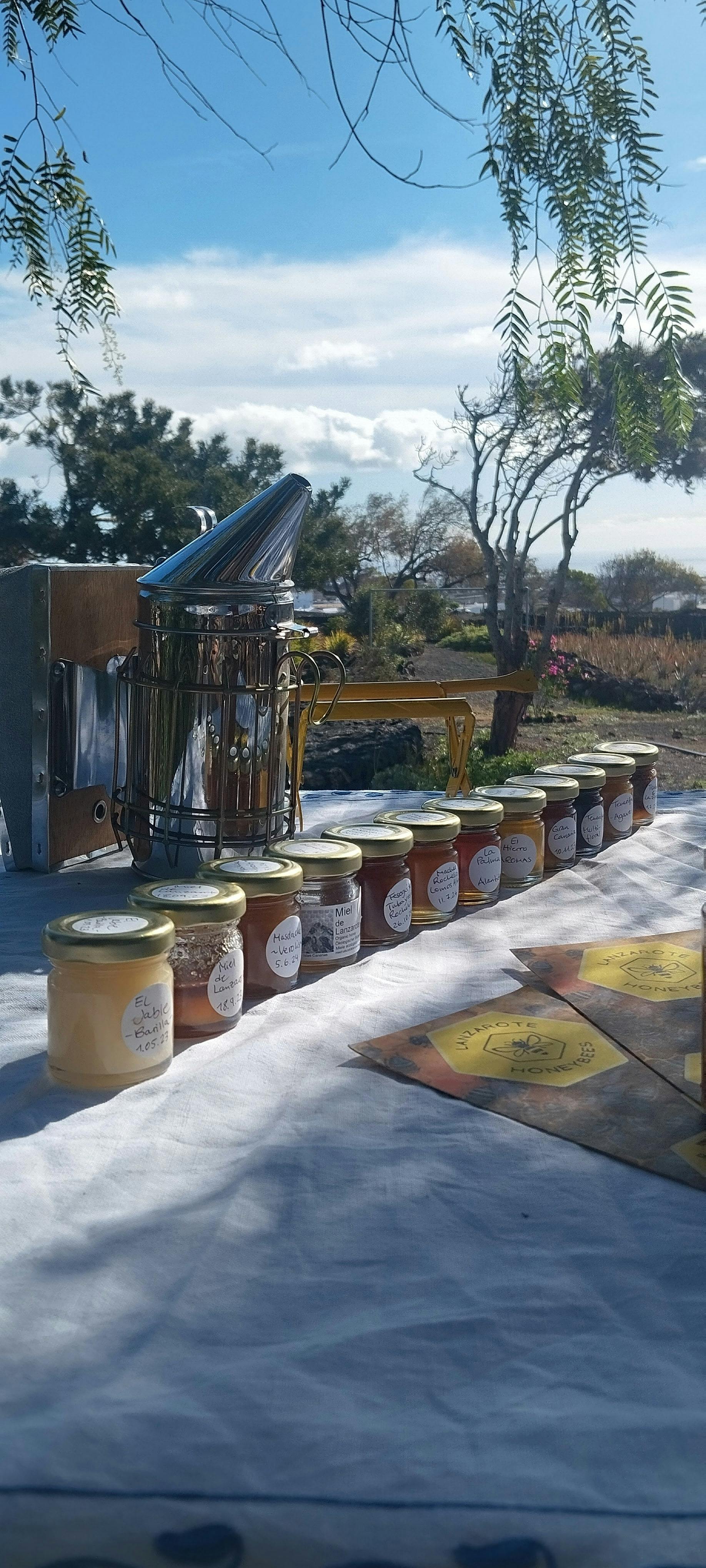 Beekeeping tour with honey tasting in Lanzarote