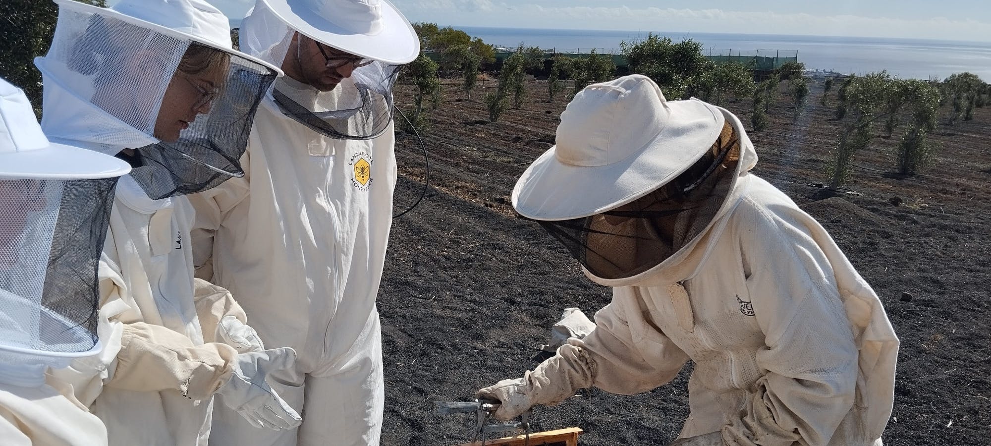Beekeeping tour with honey tasting in Lanzarote