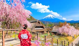 Mount Fuji top 4 must-visit attractions full day tour from Tokyo