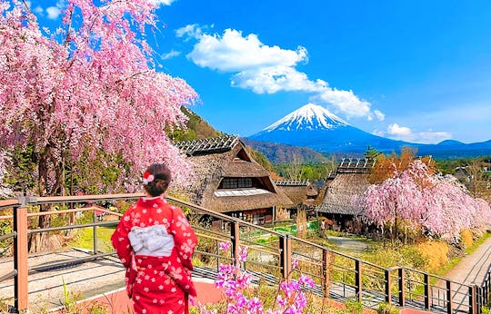 Mount Fuji top 4 must-visit attractions full day tour from Tokyo