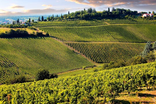 Chianti full-day guided tour with Tuscan brunch and wine tastings