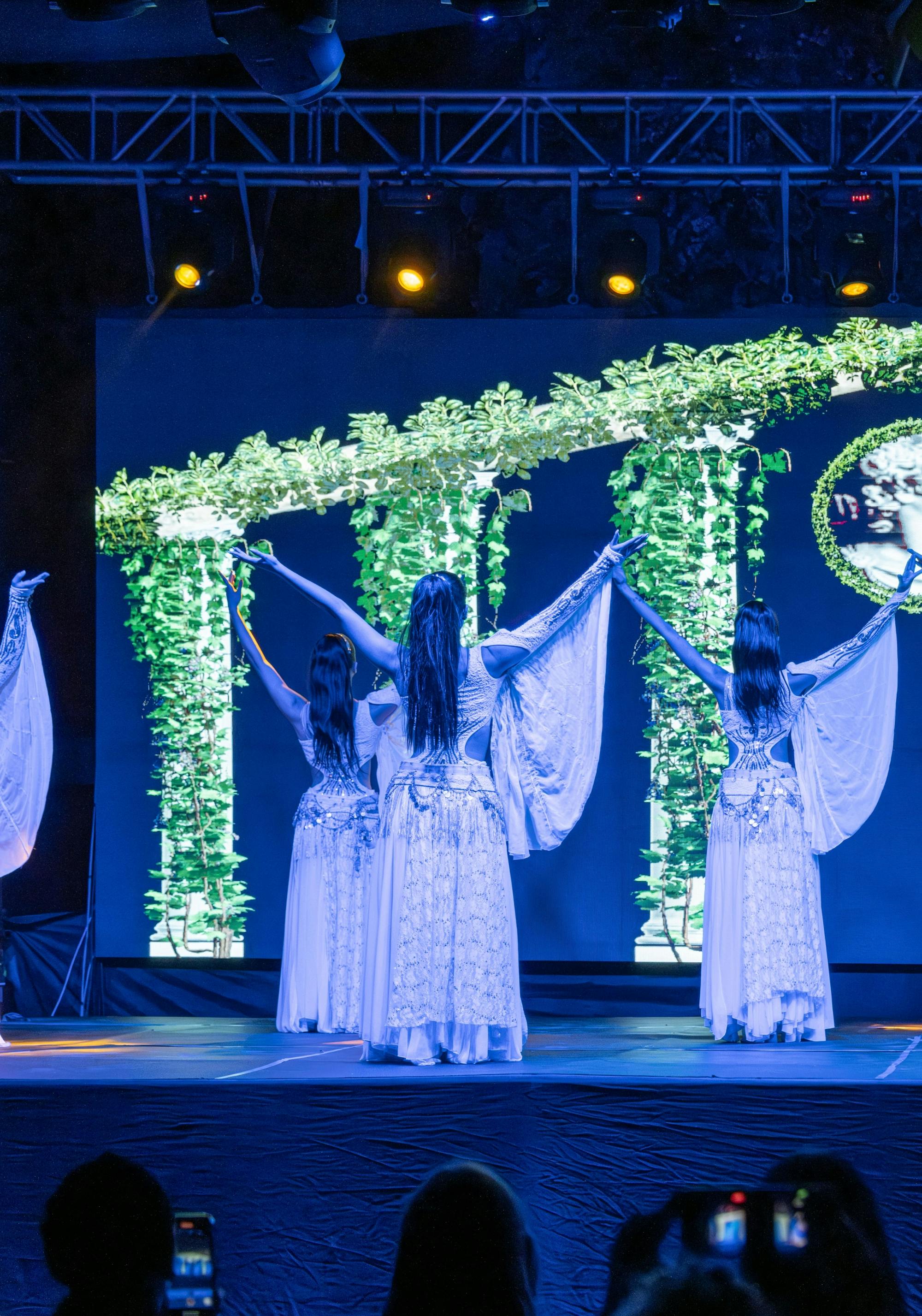 Fire of Anatolia Turkish dance show ticket