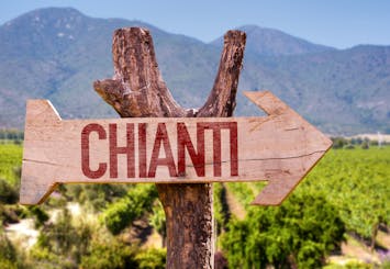 Excursion d'une demi-journée dans le Chianti au départ de Sienne avec dégustations de vin et d'huile d'olive