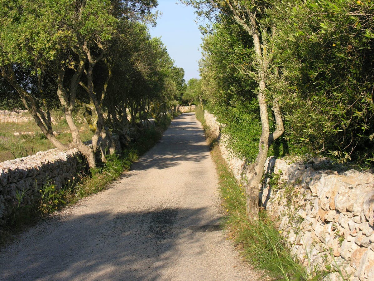 Menorca's fishing villages E-bike tour