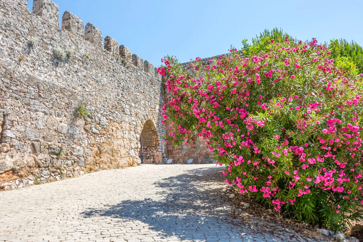 Alanya Castle and cave summer tour with cable car, lunch and boat trip