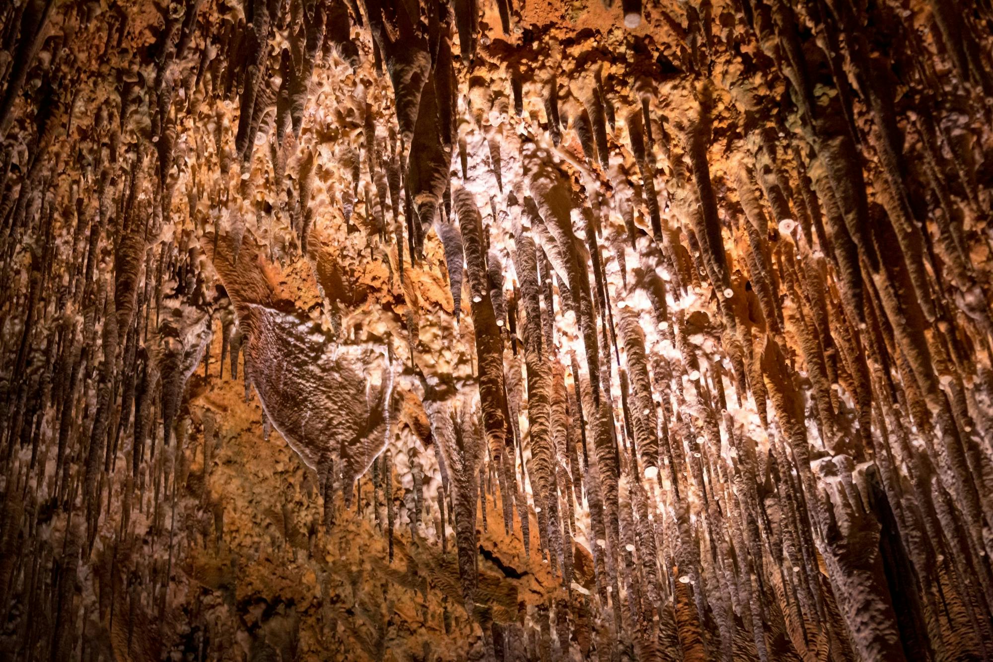 Alanya Castle and cave summer tour with cable car, lunch and boat trip