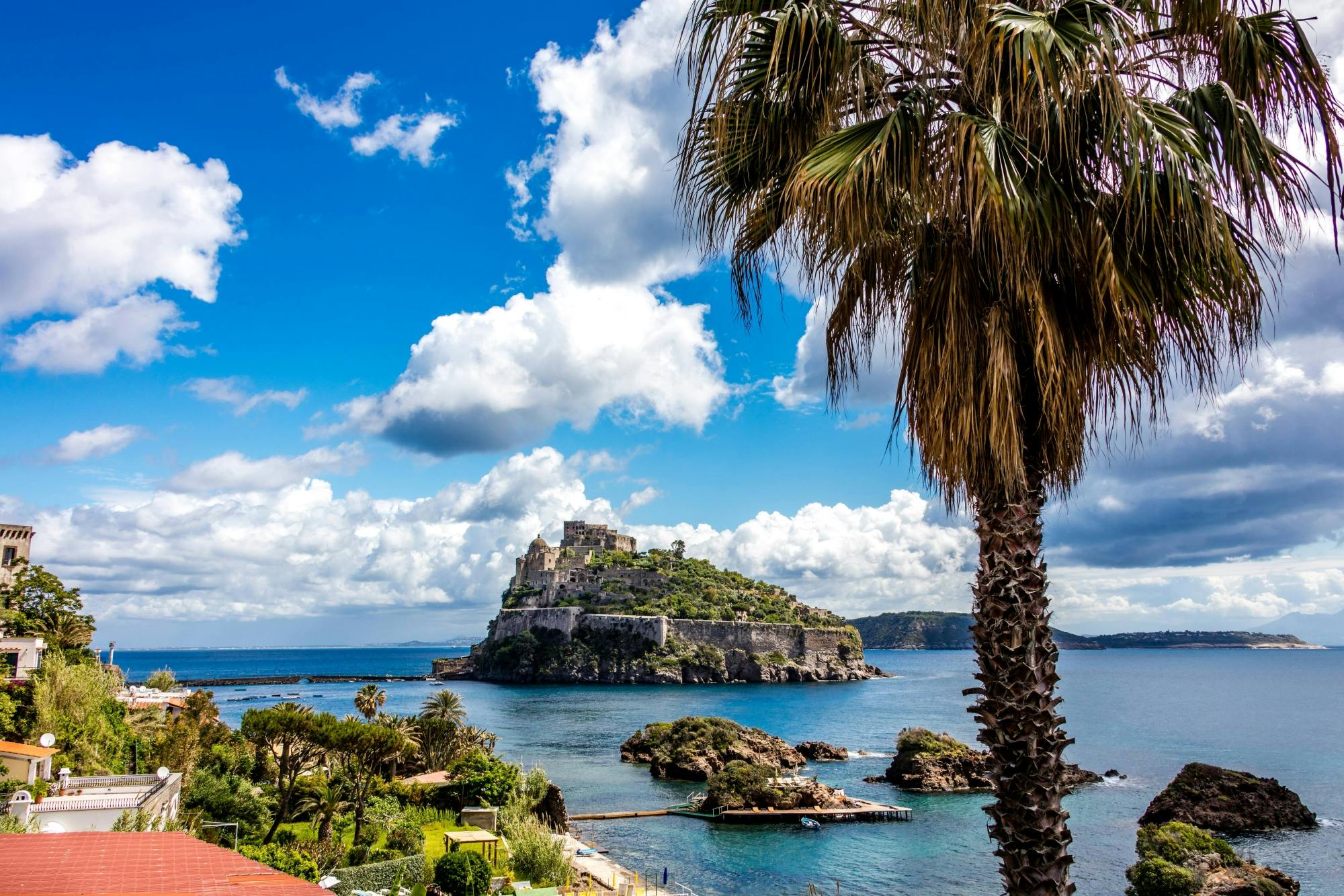 Ischia Island Small Group Tour with Lunch in a Winery