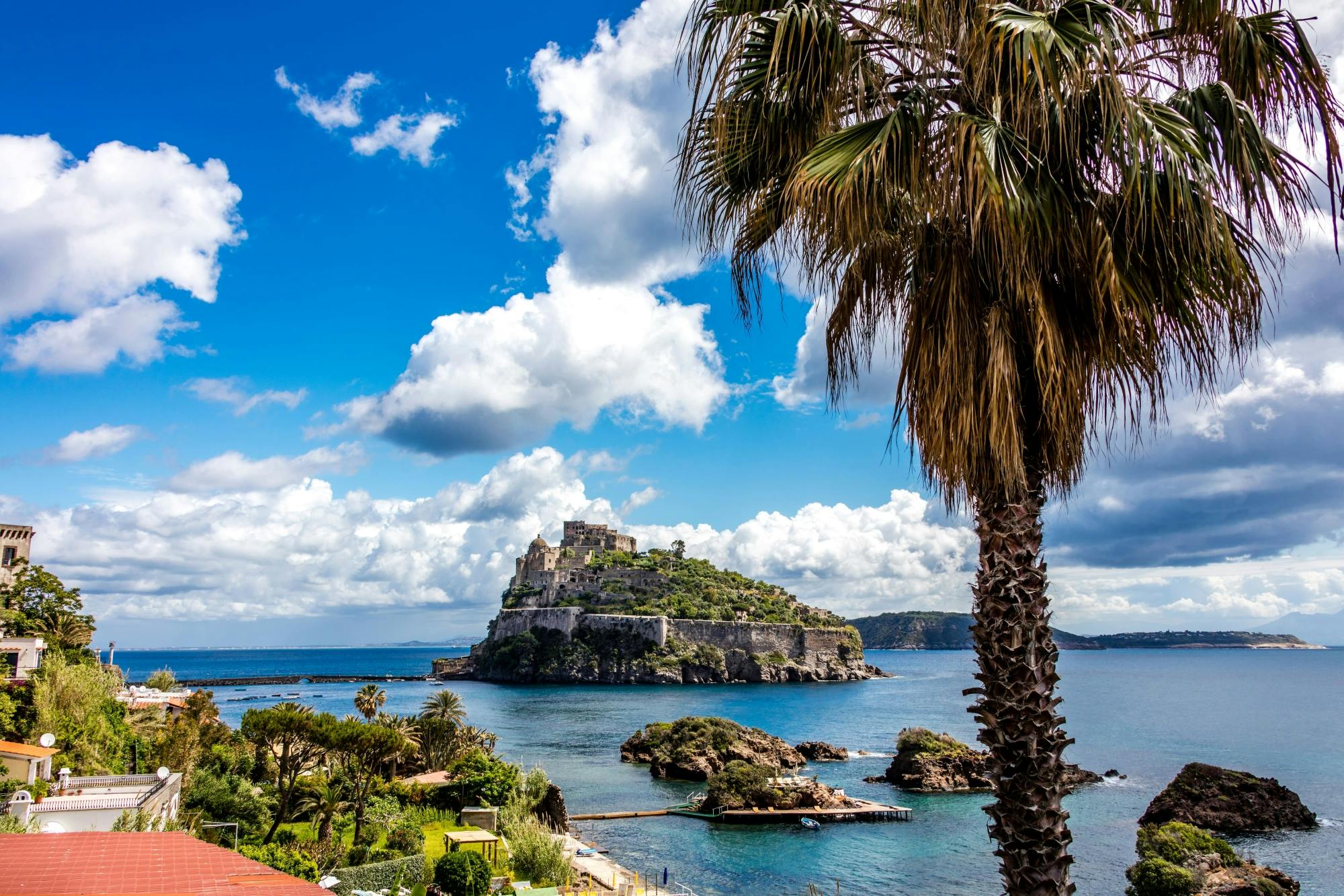 Ischia Island Small Group Tour with Lunch in a Winery